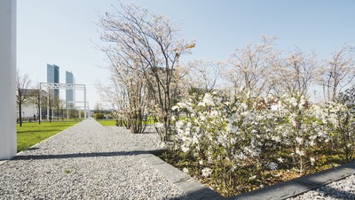 Zentraler Park - Parkstadt Schwabing, München