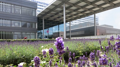 Umgestaltung des Klinikums der Goethe Universität, Frankfurt