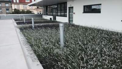 BMW Niederlassung Berlin